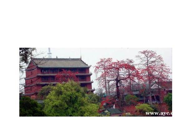 广州十大名山，天堂顶是广州最高的山峰，风景优美山高气爽，林木葱郁！