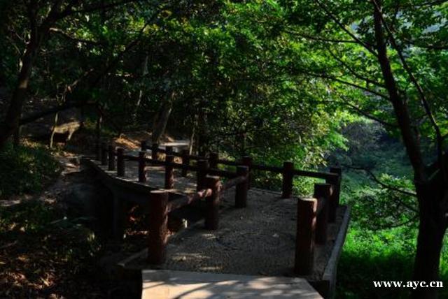 广州十大名山，天堂顶是广州最高的山峰，风景优美山高气爽，林木葱郁！