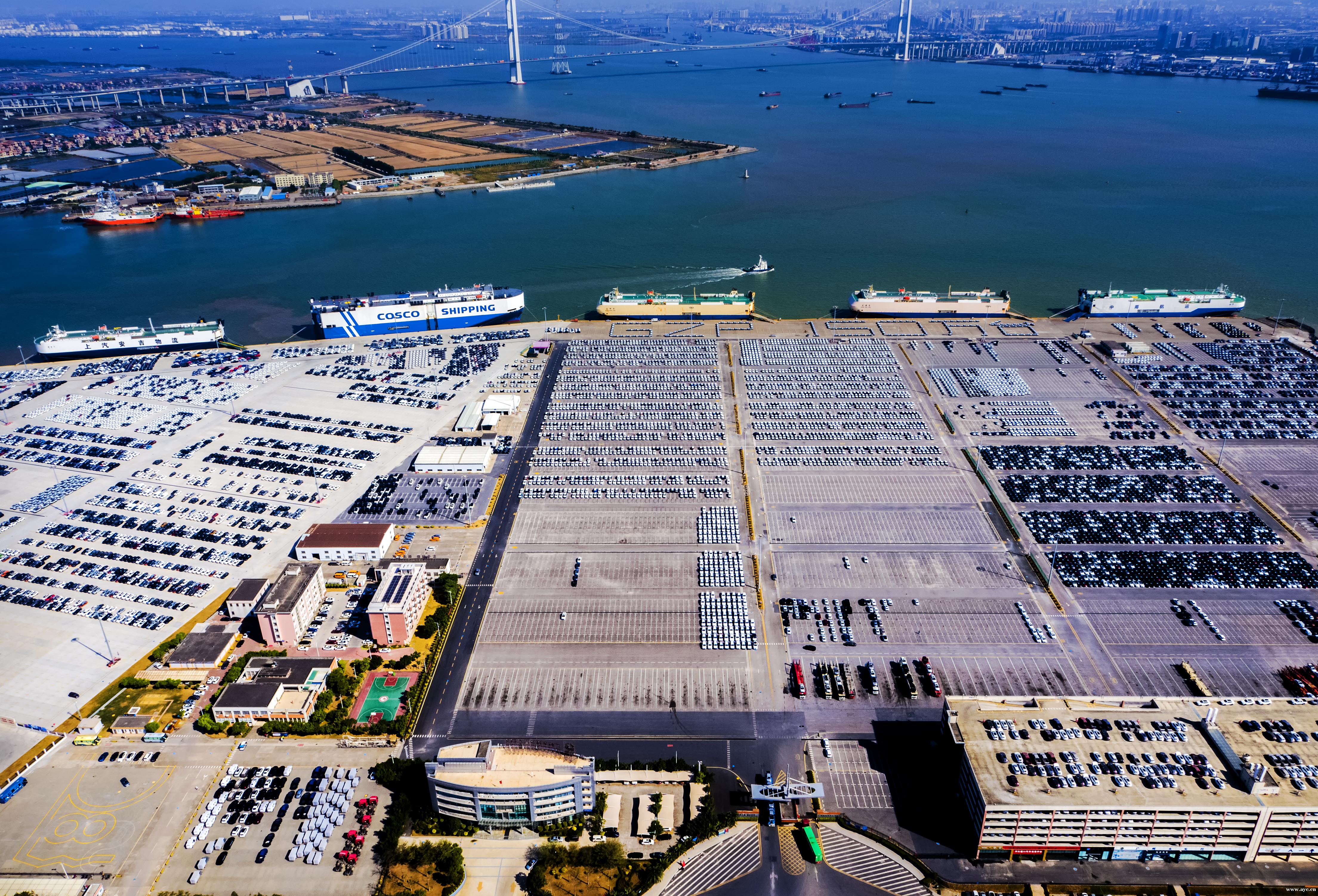 全国沿海港口第一！去年广州港集团滚装商品汽车吞吐量超150万辆