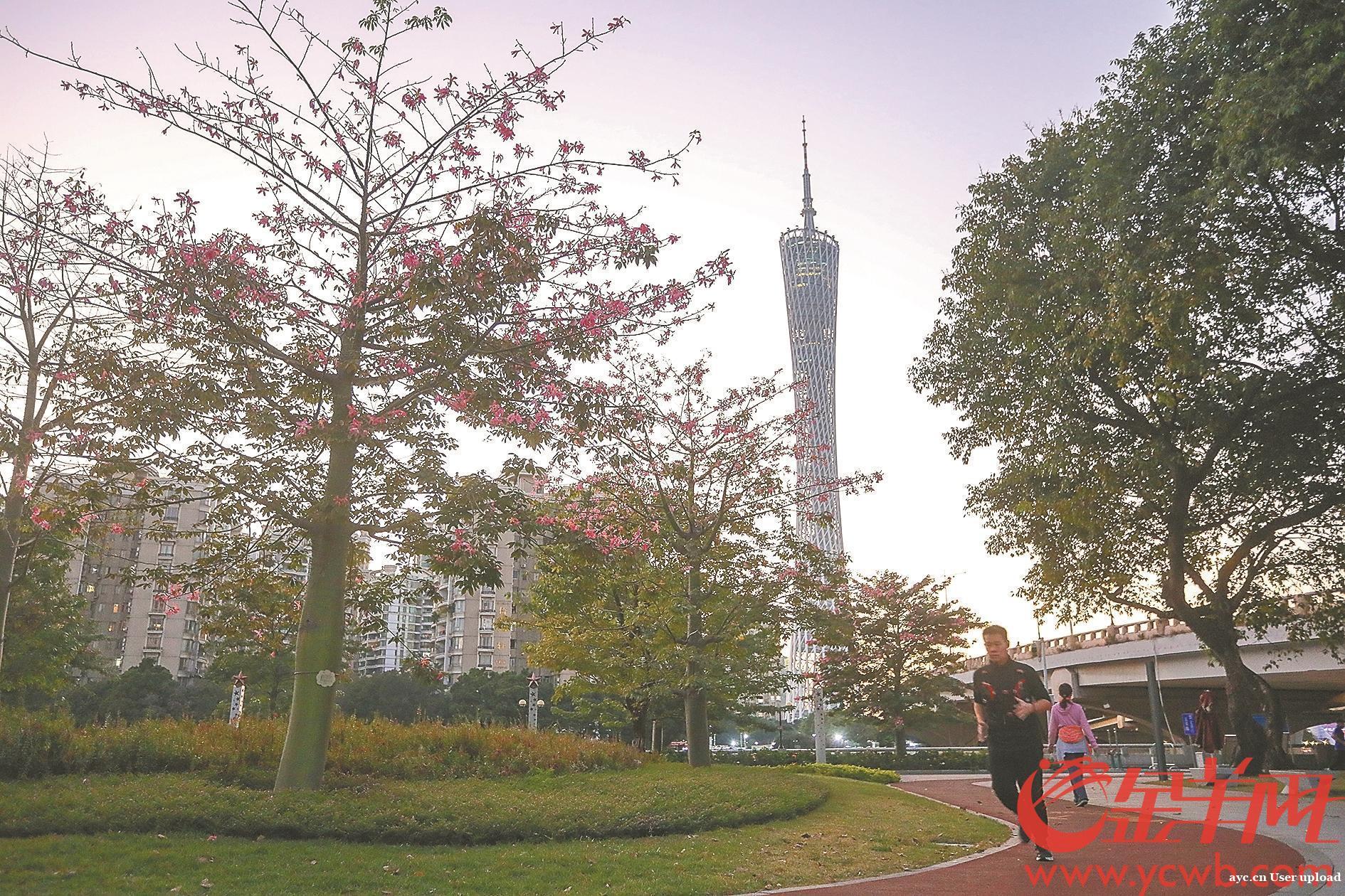 民调结果显示:超九成受访市民认可广州是理想居住城市
