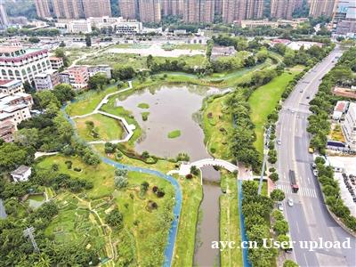 广州两区碧道建设获奖励