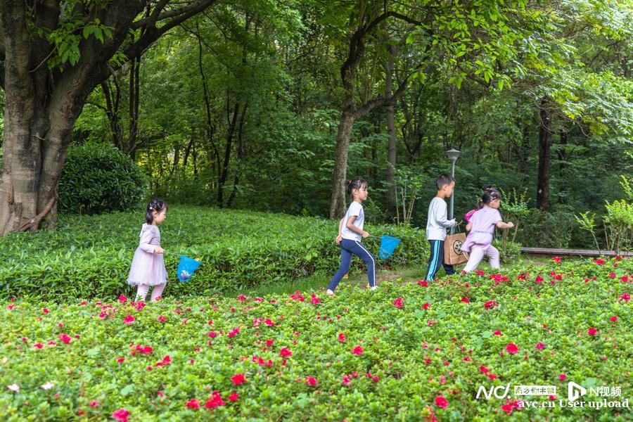 全域低风险！广州“摘星”后，熟悉的老广回来了