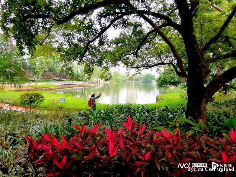 全域低风险！广州“摘星”后，熟悉的老广回来了