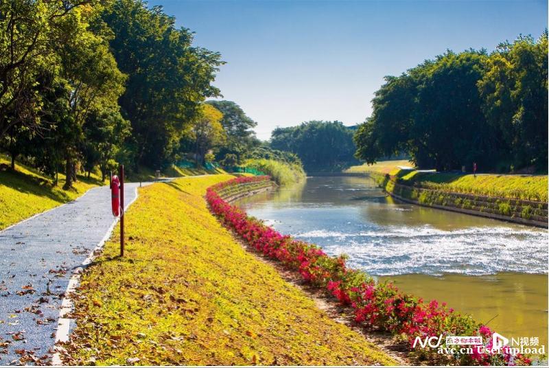 全省唯一 广州南岗河入选水利部首批幸福河湖建设项目