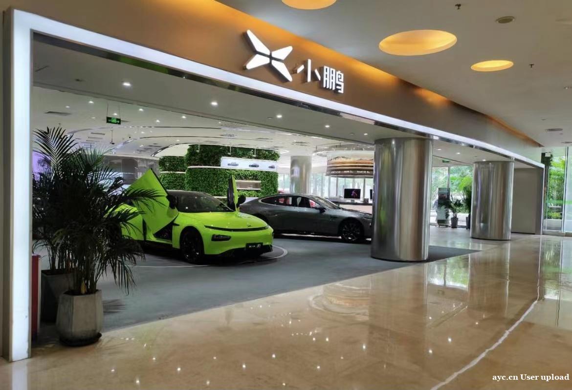 热情高涨！广州：年前购买新能源车最高可获1万元补贴