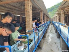 白云区周边游部门团建野炊做饭游玩的好地方