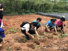 深圳南山附近的农家乐九龙生态园推荐