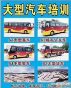 广东珠海哪里有考B2大货车驾照的 开9米6大货柜