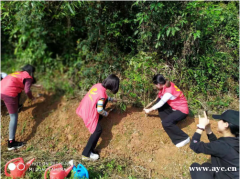 广州白云区春天植树团建好地方