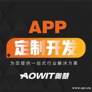 APP定制开发