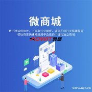 微商城APP定制