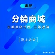 分销系统开发