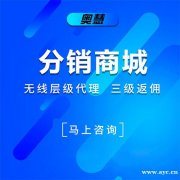 微分销定制开发