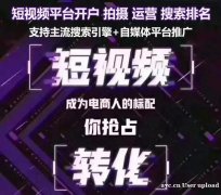 抖音快手SEO优化获客，同城推广关键词，询盘拓客引流系统