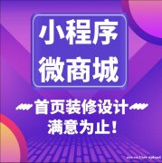 社交新零售商城系统，广州软件开发公司，二级分销模式系统