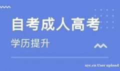 自考武汉科技大学计算机科学与技术本科招生简章
