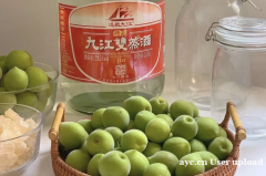 九江双蒸浸泡酒：岭南佳酿的韵味与传承